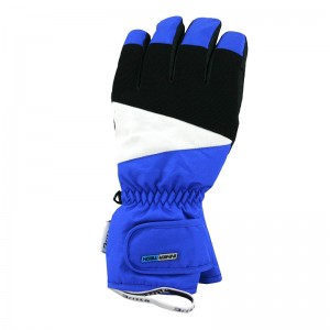 GANTS DE SKI HOMME