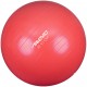 SWISS BALL S - 55 CM