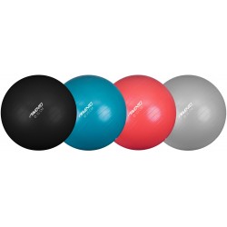 SWISS BALL S - 55 CM