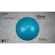 SWISS BALL S - 55 CM