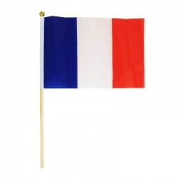 LOT DE 12 DRAPEAUX 14 X 21 CM