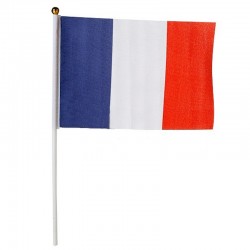 DRAPEAU FRANCE AVEC BATON 60 X 90 CM