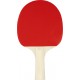 SET TENNIS DE TABLE RAQUETTES + BALLES
