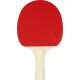 SET TENNIS DE TABLE RAQUETTES + BALLES