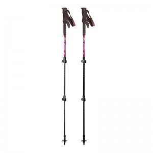 BATONS DE RANDONNEE LADY MEIJE X 2