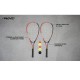 SET CROSSMINTON