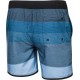 BOARDSHORT HOMME