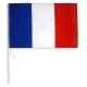 DRAPEAU FRANCE AVEC TIGE 30 X 45 CM