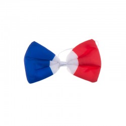 NOEUD PAPILLON FRANCE