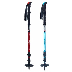 BATONS DE RANDO ALU X 2