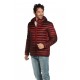 DOUDOUNE MATELASSEE HOMME SHELTER