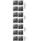 LANTERNE POWER LIGHT+