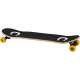SKATEBOARD ROOKIE