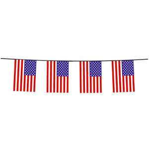 GUIRLANDE 20 FANIONS USA 6 M