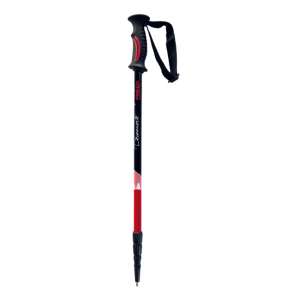 BATONS DE RANDO VERTS X2