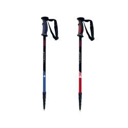 BATONS DE RANDO VERTS X2