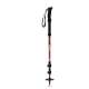 BATONS DE RANDO ALU X 2