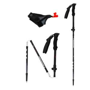 BATONS DE RANDO CARBONE EXPRESS II PLUS
