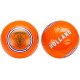 BALLON FOOTBALL EURO